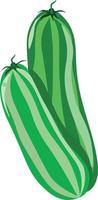 Cucumbers, illustration, vector on white background.