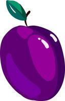 Plum flat, illustration, vector on white background.