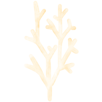 joli corail de mer png