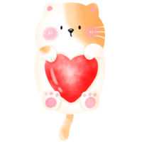 lindo gatito png