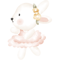 bébé lapin png