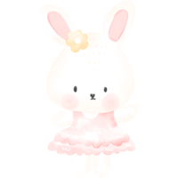 bébé lapin png