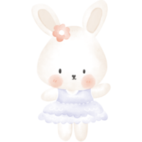 bébé lapin png