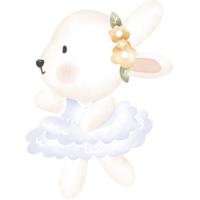 bébé lapin png