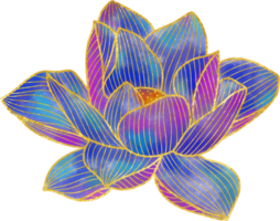 Hand drawn golden lotus flower ornament png