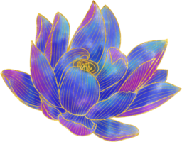 Hand drawn golden lotus flower ornament png