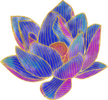 Hand drawn golden lotus flower ornament png