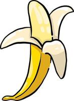 Peeled banana , illustration, vector on white background