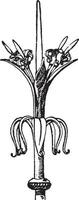 Spanish Trellis Gate Finial, peak ,  vintage engraving. vector