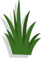 hierba verde, ilustración, vector, sobre un fondo blanco. vector
