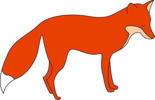 Red fox, illustration, vector on white background.