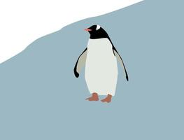 Penguin on ice, illustration, vector on white background.