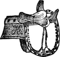 Side-saddle, vintage illustration. vector