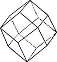 Rhombic Dodecahedron, vintage illustration. vector