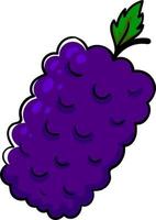 Sweet purple mulberry, illustration, vector on a white background.