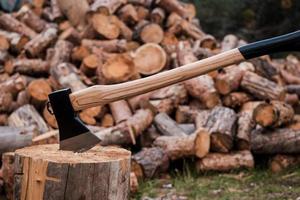 Handle tool for cutting. Close-up of axe cutting log while other logs laying in the background photo