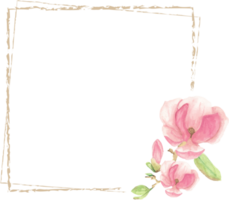 Aquarell rosa Magnolie minimaler quadratischer Rahmen für Banner oder Logo png