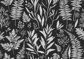 Botanical illustration. Seamless pattern. vector