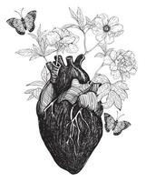 Human anatomical heart whith flowers. vector