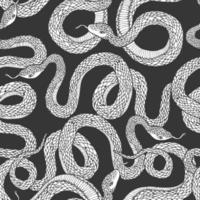 Snakes seamless pattern. vector