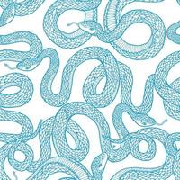 Pattern with snakes. vector