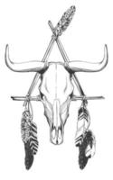 Bull skull with feathers and dreamcatcher. vector