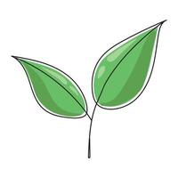 Vector illustration of a tea leaf.