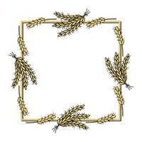 Square frame, rye cereals, yellow ripe ears, copy space, vector illustration in cartoon style on a white background