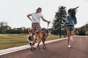 Love makes everything possible. Full length rear view of beautiful young couple running with their dog while spending time outdoors photo