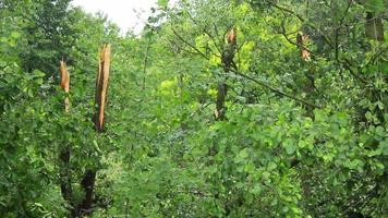 huracanes, tifones y ciclones tropicales son los fenómenos meteorológicos más poderosos y destructivos de la tierra y azotan a varios países del mundo cada año. video