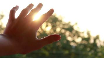Man hand reach to sun in the sky through the tree video