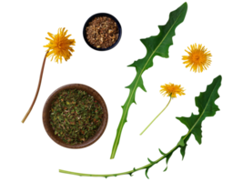 spices and herbs on a transparent background