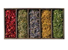 spices and herbs on a transparent background