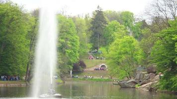 large stream of water rises from the fountain in the middle of the lake video