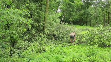 orkanen, tyfoons en tropisch cyclonen zijn de meest krachtig en destructief weer fenomeen Aan aarde en staking meerdere landen in de omgeving van de wereld elke jaar. video