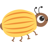 Insect. Colorado beetle png
