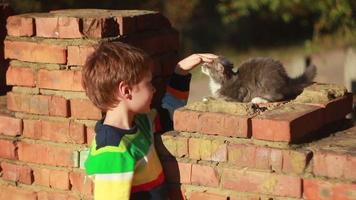 menino brincando com gato video