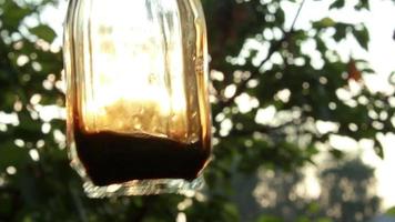 Sun rays are going through the Bottle With Liquid in a hand video