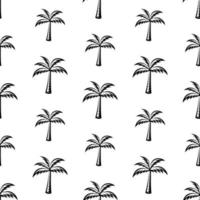 pattern seamless of palm tree in style vintage, retro, engraved. - vector illustrations