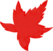 Maple leaf watercolour png