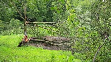 orkanen, tyfoons en tropisch cyclonen zijn de meest krachtig en destructief weer fenomeen Aan aarde en staking meerdere landen in de omgeving van de wereld elke jaar. video