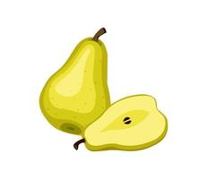 Pear and half a pear. Ripe fruit. vector