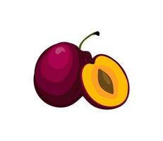 Ripe plum. Vector illustration isolated on white background