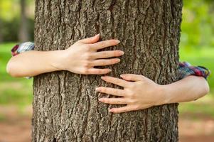 amando la naturaleza. primer plano de manos gesticulando con forma de corazón en el árbol foto