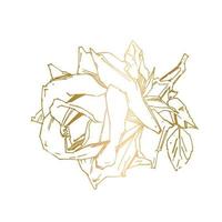 PrintHand drawn rose. Vector illustration. Vintage tattoo style rose. Flower motif sketch for design. Ink illustration isolated.