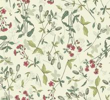 Creeper leaves Floral Patttern.Seamless Floral Pattern in vector. vector