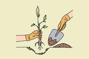 People with shovel plant small tree with roots in ground. Gardener with seedling in hands take care of environment. Gardening and agriculture concept. Environmental change. Vector illustration.