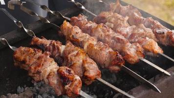 grillen vlees. sappig barbecueën. de Mens voegt toe saus naar de gegrild vlees. rook van vlees langzaam video