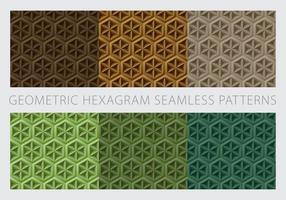 Geometric Hexagram Seamless Patterns Color Earth Tone vector