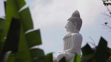 ver phuket big buddha é um dos marcos mais importantes e reverenciados da ilha de phuket. Vídeo 4k para conceito de viagem e adoração. video